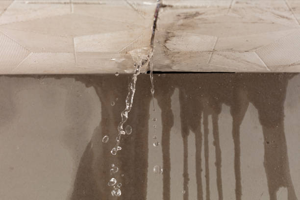 Professional Water Damage Inspection technician working in Ketchum, ID